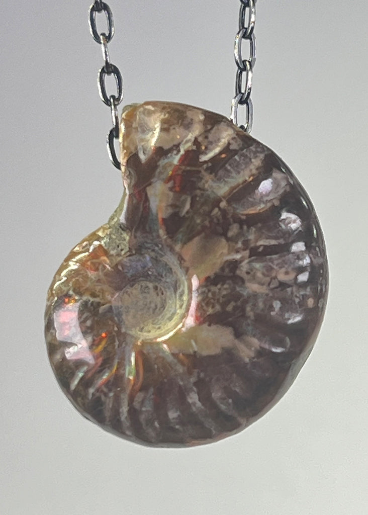 Ammonite Fossil Necklace