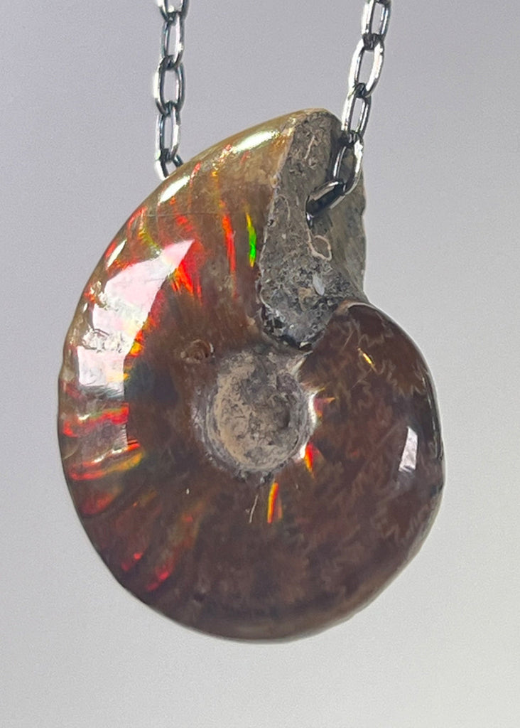 Ammonite Fossil Necklace