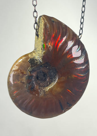Ammonite Fossil Necklace