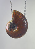 Ammonite Fossil Necklace