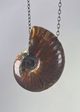 Ammonite Fossil Necklace