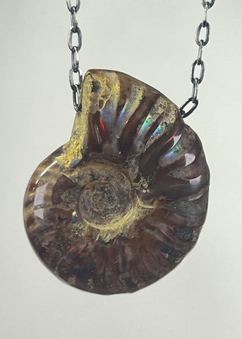 Ammonite Fossil Necklace