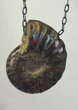 Ammonite Fossil Necklace