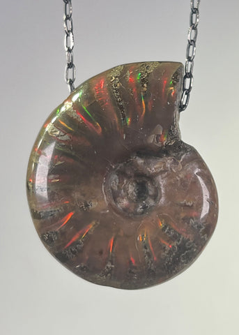 Ammonite Fossil Necklace
