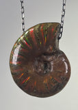 Ammonite Fossil Necklace