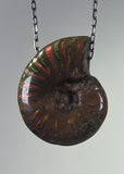 Ammonite Fossil Necklace