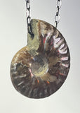Ammonite Fossil Necklace