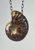 Ammonite Fossil Necklace