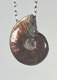 Ammonite Fossil Necklace