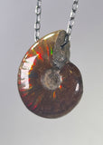 Ammonite Fossil Necklace