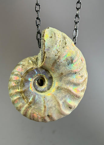 Ammonite Fossil Necklace