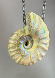 Ammonite Fossil Necklace