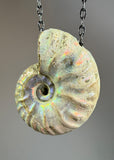 Ammonite Fossil Necklace