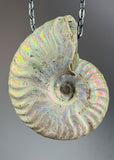 Ammonite Fossil Necklace