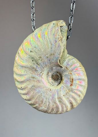 Ammonite Fossil Necklace