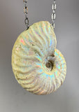 Ammonite Fossil Necklace