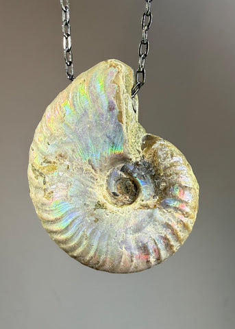 Ammonite Fossil Necklace