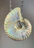 Ammonite Fossil Necklace