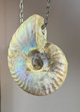 Ammonite Fossil Necklace