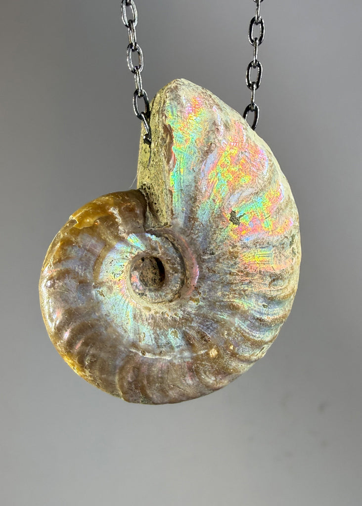 Ammonite Fossil Necklace