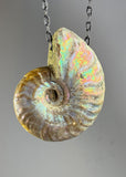 Ammonite Fossil Necklace