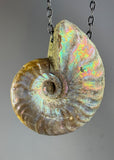 Ammonite Fossil Necklace