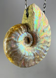Ammonite Fossil Necklace