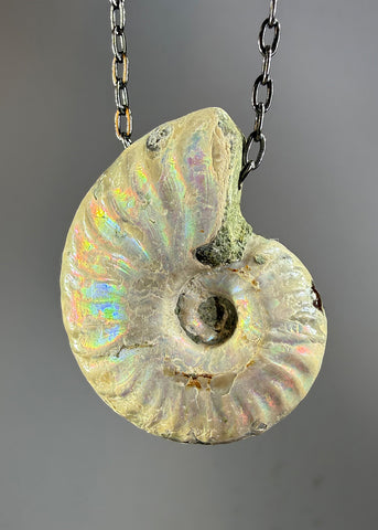 Ammonite Fossil Necklace