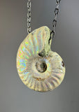 Ammonite Fossil Necklace