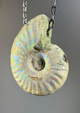 Ammonite Fossil Necklace