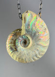 Ammonite Fossil Necklace