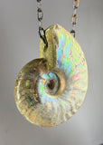 Ammonite Fossil Necklace
