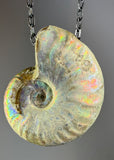 Ammonite Fossil Necklace