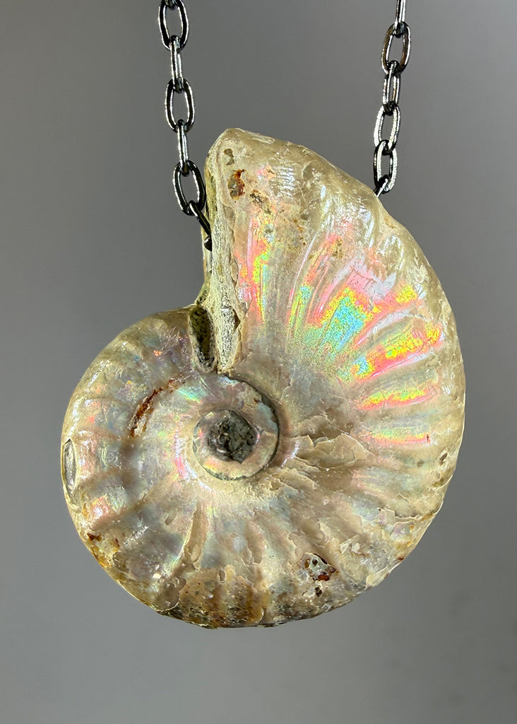 Ammonite Fossil Necklace