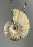 Ammonite Fossil Necklace