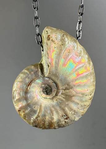 Ammonite Fossil Necklace