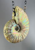 Ammonite Fossil Necklace