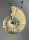 Ammonite Fossil Necklace