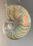 Ammonite Fossil Necklace