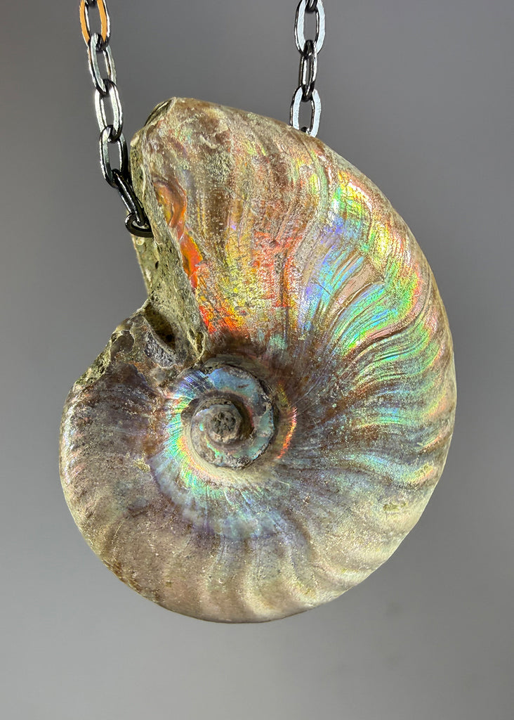 Ammonite Fossil Necklace