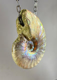 Ammonite Fossil Necklace
