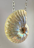 Ammonite Fossil Necklace