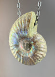 Ammonite Fossil Necklace