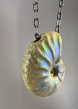 Ammonite Fossil Necklace