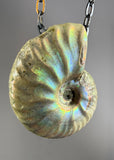 Ammonite Fossil Necklace