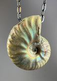 Ammonite Fossil Necklace