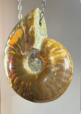 Ammonite Fossil Necklace