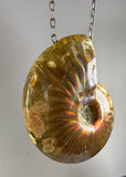 Ammonite Fossil Necklace