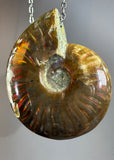 Ammonite Fossil Necklace