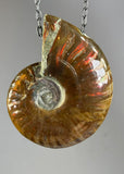 Ammonite Fossil Necklace